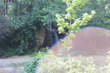 Lori's Pictures 100.JPG