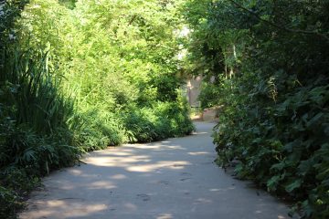 Lori's Pictures 101.JPG