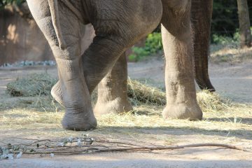 Lori's Pictures 105.JPG