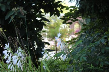 Lori's Pictures 111.JPG