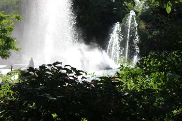 Lori's Pictures 112.JPG