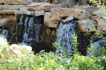 Lori's Pictures 113.JPG