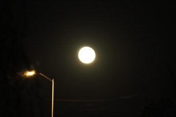 Lori's Pictures 117.JPG