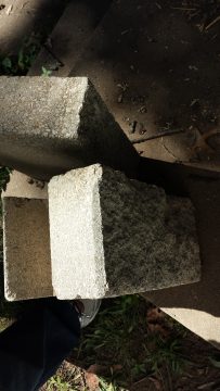 phone_pictures 024.jpg