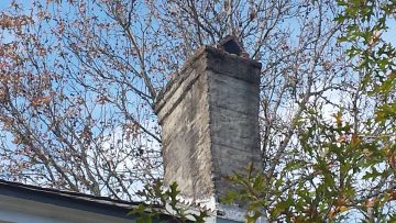 Phone_20150913 050.jpg