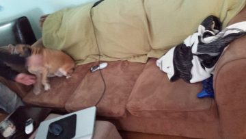 Phone_20150913 217.jpg