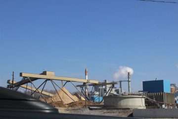 Lori's Pictures 132.JPG