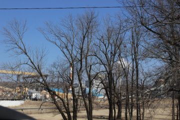 Lori's Pictures 134.JPG