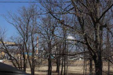 Lori's Pictures 135.JPG