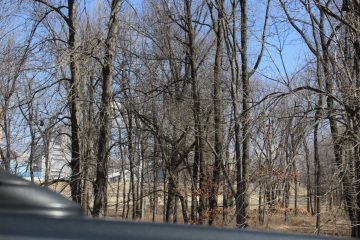 Lori's Pictures 136.JPG