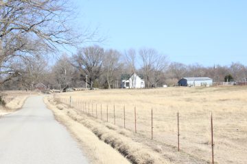 Lori's Pictures 175.JPG