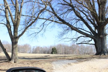 Lori's Pictures 180.JPG