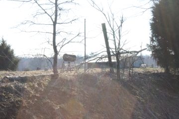 Lori's Pictures 183.JPG