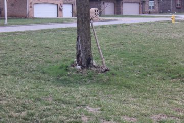 Lori's Pictures 186.JPG