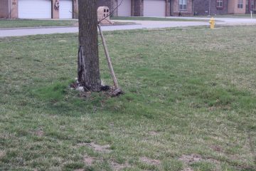 Lori's Pictures 187.JPG