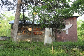 Lori's Pictures 229.JPG