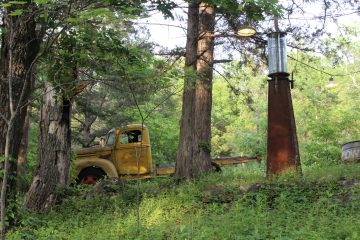 Lori's Pictures 230.JPG