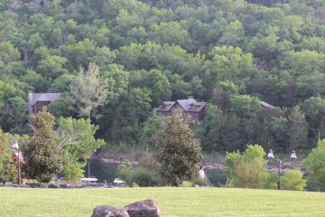 Lori's Pictures 240.JPG