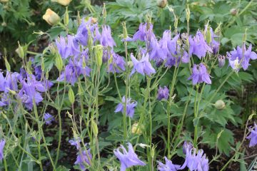 Lori's Pictures 244.JPG