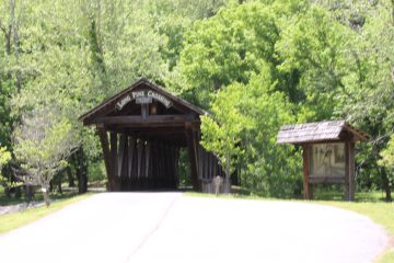 Lori's Pictures 262.JPG