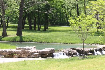 Lori's Pictures 263.JPG