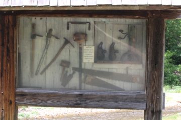 Lori's Pictures 265.JPG