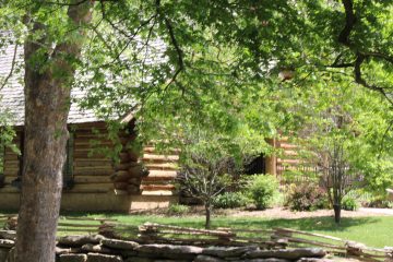 Lori's Pictures 267.JPG