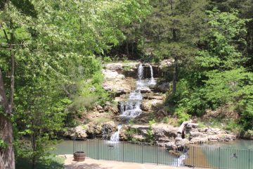 Lori's Pictures 271.JPG