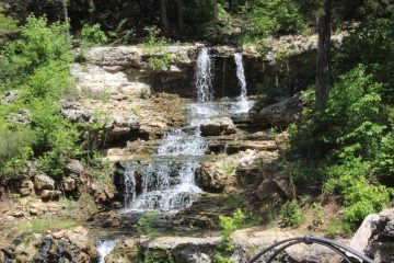 Lori's Pictures 272.JPG