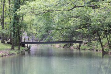 Lori's Pictures 277.JPG