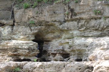 Lori's Pictures 278.JPG