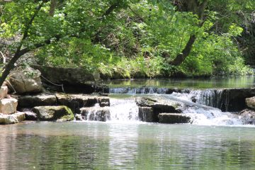 Lori's Pictures 284.JPG