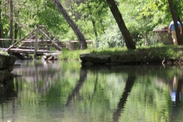 Lori's Pictures 288.JPG