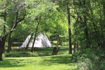 Lori's Pictures 295.JPG