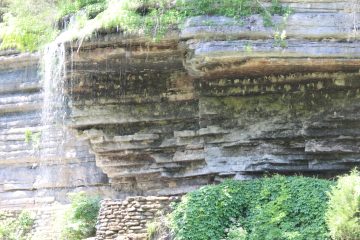 Lori's Pictures 299.JPG