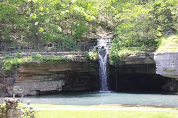 Lori's Pictures 317.JPG