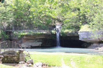 Lori's Pictures 318.JPG