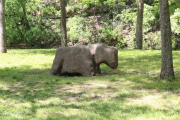 Lori's Pictures 319.JPG