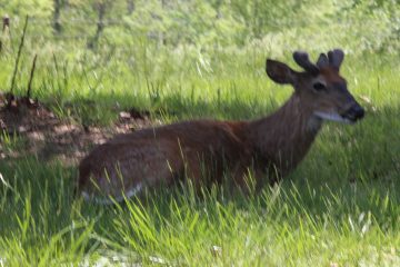 Lori's Pictures 326.JPG