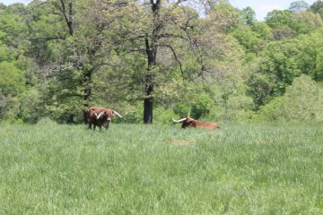 Lori's Pictures 357.JPG