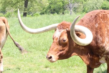 Lori's Pictures 363.JPG