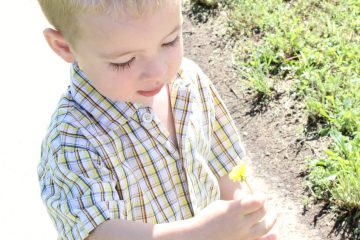 Lori's Pictures 522.JPG