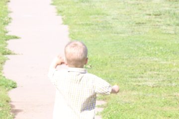 Lori's Pictures 524.JPG