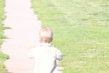 Lori's Pictures 525.JPG