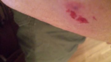 Phone_20150913 464.jpg