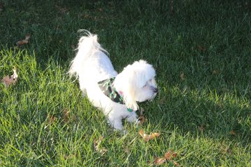 Lori's Pictures 636.JPG