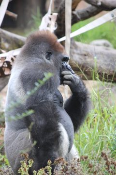 Lori's Pictures 069.JPG