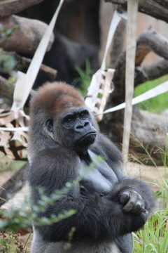 Lori's Pictures 070.JPG