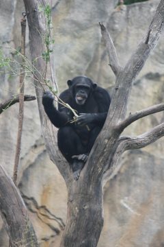 Lori's Pictures 071.JPG