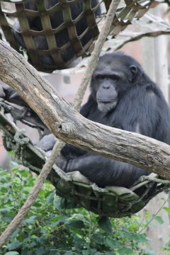 Lori's Pictures 074.JPG